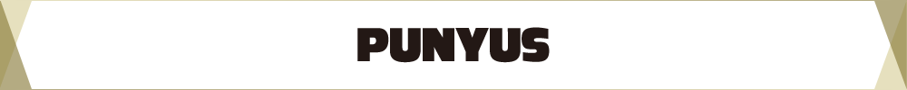 PUNYUS